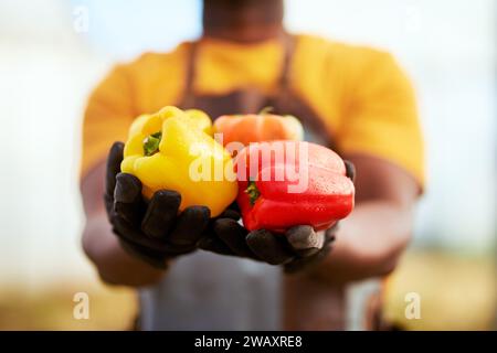 Immagine ravvicinata ritagliata di un contadino nero che tiene in mano le verdure Foto Stock
