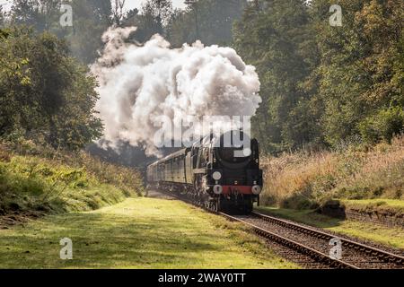 BR 'Merchant Navy' 4-6-2 No. 35028 'Clan Line' passa sul sito della stazione di West Hoathly sulla Bluebell Railway durante il loro Gala dei Giganti di vapore Foto Stock