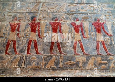 Bellissime opere d'arte in una tomba a Saqqara, Egitto, con la pittura originale ancora visibile Foto Stock