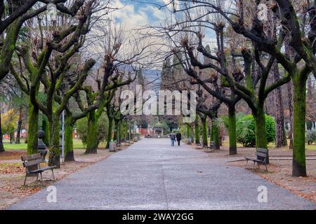 Vista posteriore della coppia anziana passeggiata lungo un sentiero alberato in un parco in inverno, Varenna, Lago di Como, regione dei Laghi, Lombardia, Italia Foto Stock