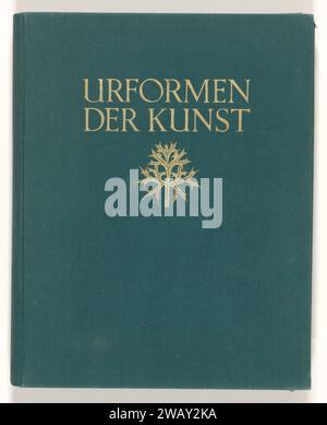 Forme d'arte: Immagini di piante fotografiche, edizione a foglia libera del 1928 di Urforms of Art Giornale di Berlino. impianti di inchiostro (in generale) Foto Stock