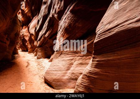 Uno stretto sentiero si snoda attraverso un canyon roccioso, con sabbia marrone e pietre sparse sulla sua superficie Foto Stock