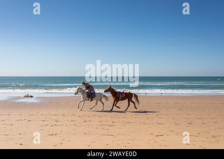 Cavalli sulla spiaggia sabbiosa nel villaggio di pescatori di Taghazout, Marocco, Nord Africa. Foto Stock