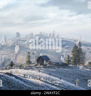 Inverno in arrivo. Pittoresca scena mattutina di nebbia e umoristica nella campagna montana tardo autunnale con brinzelo su erbe, alberi, pendii. Ucraina, Carpat Foto Stock