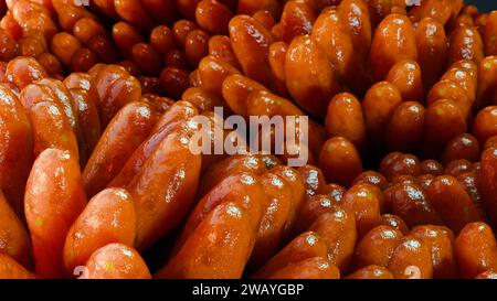 Villi intestinali, microvilli rossi in un tratto intestinale. Primo piano, Microbiologia, anatomia, biologia, scienza, concetti di medicina, medicina e assistenza sanitaria Foto Stock