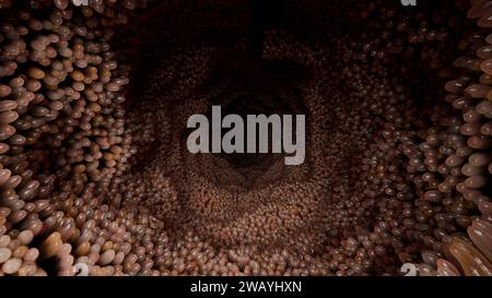 Villi intestinali, microvilli rossi in un tratto intestinale. Primo piano, Microbiologia, anatomia, biologia, scienza, concetti di medicina, medicina e assistenza sanitaria Foto Stock