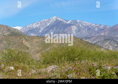 Vista panoramica della neve sul monte San Gorgonio dalla Mission Creek Preserve a Desert Hot Springs, California Foto Stock