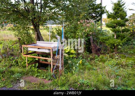 lavandino all'aperto in un campo nella rurale zona centrale di hokkaido, giappone Foto Stock