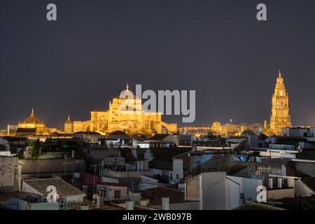 Skyline illuminato della Cattedrale Mezquita di Cordova, Spagna di notte Foto Stock