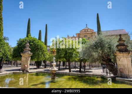 Cordova, Spagna - 30 agosto 2023: Esterno della Cattedrale Mezquita, originariamente parte della grande Moschea di Cordova Foto Stock