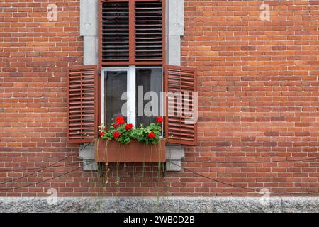 Le pareti esterne di un edificio d'epoca in mattoni rossi con una finestra rivestita di bianco. C'è una scatola di fiori di legno con fiori di geranio rosso Foto Stock