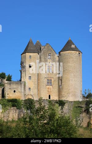 Castello fortificato di Salignac (XI-XV secolo) nel Périgord Noir vicino a Sarlat. Architettura, storia, campagna e ruralità, ambiente, Touri Foto Stock