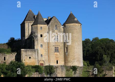 Castello fortificato di Salignac (XI-XV secolo) nel Périgord Noir vicino a Sarlat. Architettura, storia, campagna e ruralità, ambiente, Touri Foto Stock