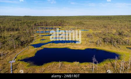 Vista aerea sulla palude di viru nel Parco Nazionale di Lahemaa, Estonia Foto Stock