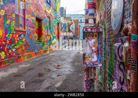 Graffiti Alley, noto anche come Rush Lane, è una gemma nascosta nel quartiere della moda di Toronto. E' un vicolo stretto fiancheggiato da murales colorati e strade Foto Stock