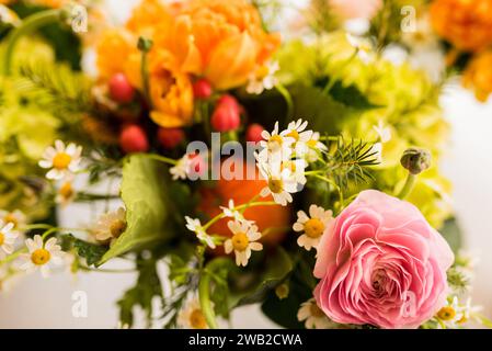 Composizione colorata di fiori in fiore Foto Stock