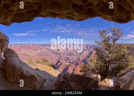 Vista sulla scogliera del Grand Canyon da sotto Powell Point Arizona Foto Stock