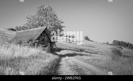 Una fotografia in bianco e nero di una piccola baracca di legno situata vicino a una strada sterrata in un ambiente rurale Foto Stock