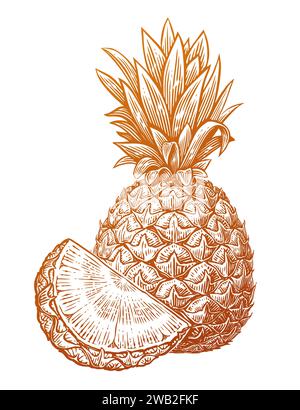 Ananas con fetta, disegno disegnato a mano. Cibo fresco ecologico. Illustrazione vettoriale di frutti tropicali Illustrazione Vettoriale
