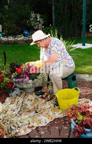 Donna anziana matura con artrite seduta che pianta lampadine a molla in una piantatrice di pietra da giardino tende riciclate come telo da sole e guanti, Inghilterra Regno Unito Foto Stock