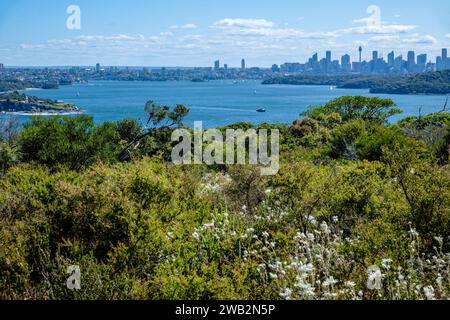 Vista verso il centro città da North Head, Sydney, New South Wales, Australia Foto Stock