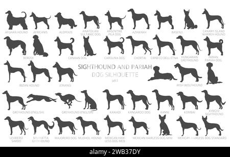 Il cane alleva le silhouette con un ritaglio semplice. Collezione di cani da caccia Sightounds e pariah. Illustrazione vettoriale Illustrazione Vettoriale