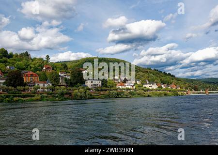 Sobborgo residenziale lungo il fiume Neckar, Heidelberg, Baden Wurttemberg, Germania Foto Stock