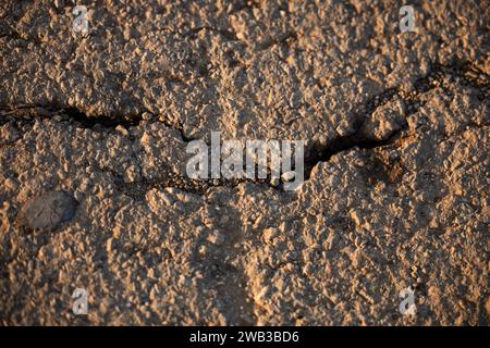 Frammento di asfalto incrinato su fondo stradale da vicino. Sfondo di ripetizione trame. Foto Stock