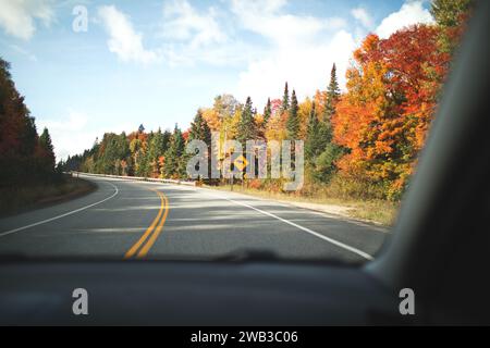 Una vista panoramica di un segnale stradale che avverte l'alce all'Algonquin Provincial Park, Ontario, Canada Foto Stock