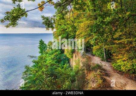 Il paesaggio costiero del Mar Baltico con il fogliame autunnale della foresta costiera, vista da un sentiero sulla cima di una scogliera a Gdynia, in Polonia. Foto Stock