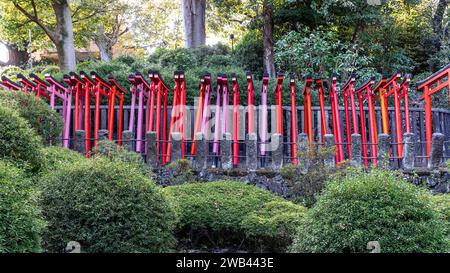 Vista laterale del santuario Otome Inari del torii Foto Stock