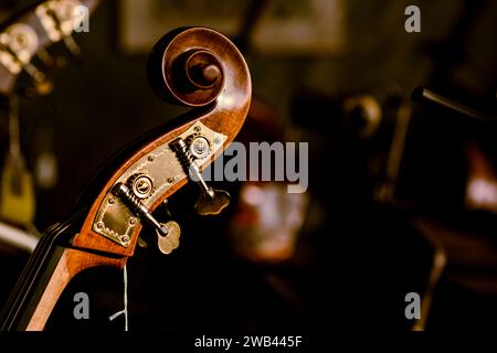 Un primo piano di un antico violino in legno, collocato tra diverse chitarre d'epoca in una sala musica luminosa e ariosa Foto Stock