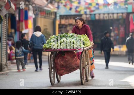 Kathmandu, Nepal- Aprile 20,2019 : commerciante di verdure sulla strada di Kathmandu. Foto Stock