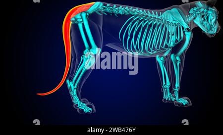 Muscolo della coda dell'anatomia muscolare del leone per l'illustrazione 3D di concetto medico Foto Stock