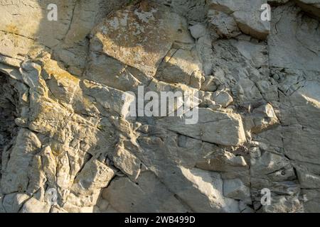 Questa immagine è uno studio ravvicinato di una sezione di roccia della scogliera, che mostra le intricate texture e gli strati formati nel tempo geologico. Il gioco di luci e ombre enfatizza la superficie ruvida e le varie tonalità della roccia. La fotografia cattura i dettagli più piccoli come il grano, le fessure e la crescita del lichene, dando uno sguardo ai processi naturali che plasmano i nostri paesaggi costieri. La calda luce del sole suggerisce sia la mattina presto che il tardo pomeriggio, momenti in cui l'angolo di luce può rivelare il maggior dettaglio nella superficie della roccia. Texture del tempo: Geologia cliffside. Alta qualità Foto Stock