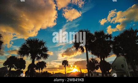 Uno splendido tramonto illumina diverse palme alte su una tranquilla strada laterale Foto Stock