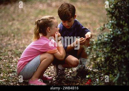 Anno Paradiso : 1991 USA Direttore : Mary Agnes Donoghue Thora Birch, Elijah Wood Foto Stock