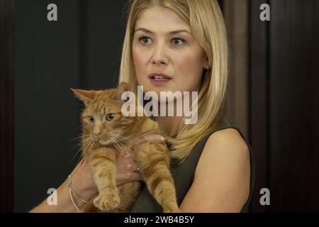 Johnny English Reborn anno : 2011 Regno Unito / Stati Uniti Direttore : Oliver Parker Rosamund Pike Foto Stock