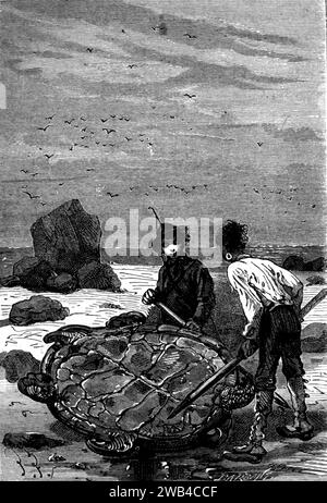 Illustrazione Jules Verne, "The Mysterious Island" (francese: L'Île mystérieuse): "This will make Friend Pencroft Happy" Edizioni Hetzel, 1874/1875 Collezione privata Foto Stock