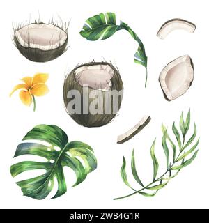 Noci di cocco interi, a metà e pezzi con foglie di palma tropicali verdi e luminose e fiori di plumeria gialli. Illustrazione ad acquerello disegnata a mano. Set di Foto Stock