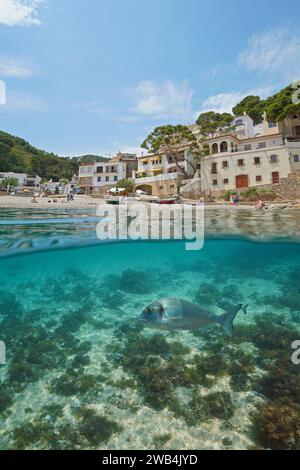 Vista sul mare di un villaggio mediterraneo sulla Costa Brava in Spagna con pesci sott'acqua, vista su e sotto la superficie dell'acqua, scenario naturale, sa Tuna Foto Stock