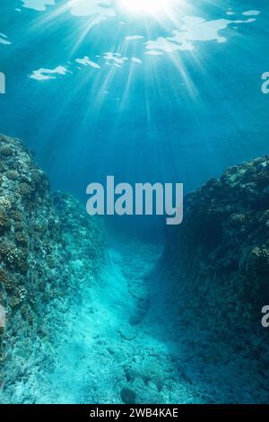 Trincea subacquea nella barriera corallina con la luce del sole nell'oceano Pacifico, Polinesia francese, scenario naturale Foto Stock