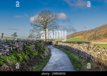 06.01.2024 Austwick, Craven, North Yorkshire, Regno Unito. Cammina sulla Pennine Bridleway vicino ad Austwick Foto Stock