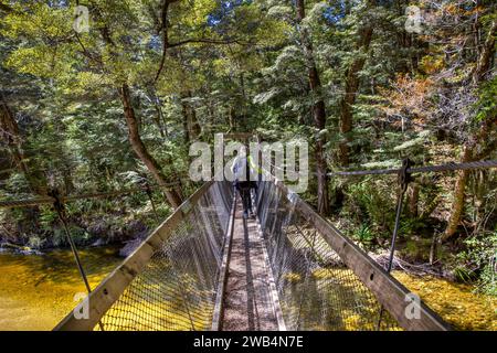 Passerella sul Pig Creek sulla natura di Borland passeggia attraverso le foreste di faggete native di pianura nell'area Patrimonio Mondiale dell'Umanità del Parco Nazionale di Fiordland, te Wa Foto Stock