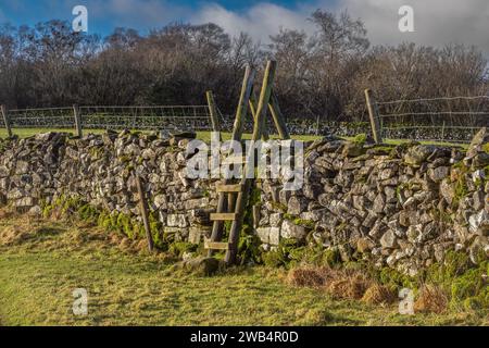 06.01.2024 Austwick, Craven, North Yorkshire, Regno Unito. Stile a scala su un muro di pietra a secco vicino a Feizor nelle Yorkshire Dales Foto Stock