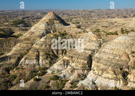 Terry Badlands dalla vista panoramica si affacciano, Terry Badlands Wilderness Area Studio, Montana Foto Stock