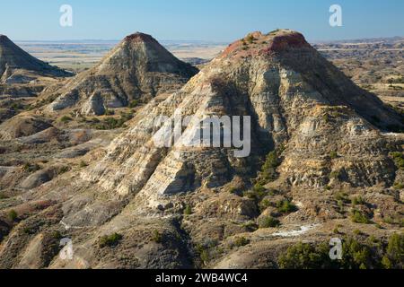 Terry Badlands dalla vista panoramica si affacciano, Terry Badlands Wilderness Area Studio, Montana Foto Stock