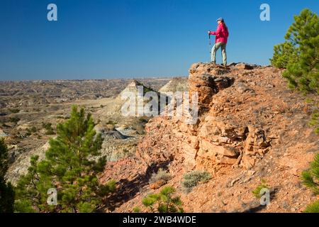 Terry Badlands pine dalla vista panoramica si affacciano, Terry Badlands Wilderness Area Studio, Montana Foto Stock