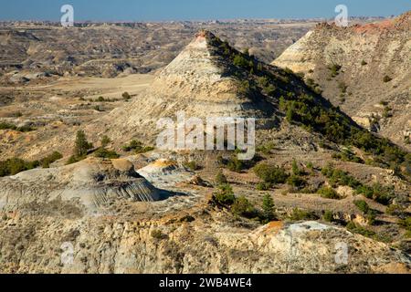 Terry Badlands dalla vista panoramica si affacciano, Terry Badlands Wilderness Area Studio, Montana Foto Stock