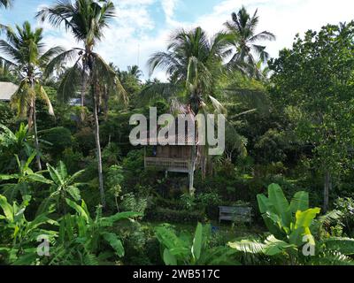 Una vista aerea di una casa sull'albero incastonata tra la lussureggiante vegetazione di una foresta pluviale tropicale a Bali, Indonesia Foto Stock